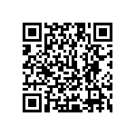 1111Y1K01P00DQT QRCode