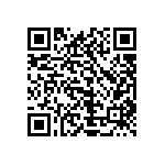 1111Y1K03P00DQT QRCode