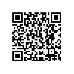 1111Y1K06P20BQT QRCode