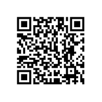 1111Y1K06P20HQT QRCode