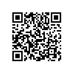 1111Y1K06P80BQT QRCode