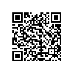 1111Y2000431GQT QRCode