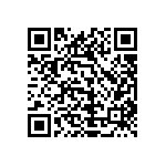 1111Y2500201KQT QRCode