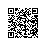 1111Y2500300JQT QRCode