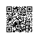 1111Y250P700DQT QRCode