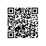 1111Y250P800BQT QRCode