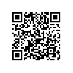 1111Y2K01P00DQT QRCode