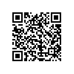 1111Y2K01P60BQT QRCode