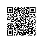 1111Y2K02P10DQT QRCode