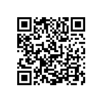 1111Y2K02P20BQT QRCode