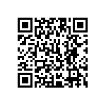 1111Y2K02P20DQT QRCode