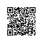 1111Y2K03P60DQT QRCode