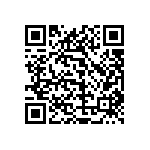 1111Y3000151KQT QRCode