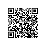 1111Y3000160FQT QRCode