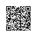 1111Y3000161FQT QRCode