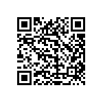 1111Y3000161KQT QRCode