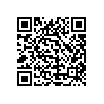 1111Y3000300KQT QRCode