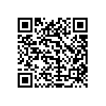 1111Y3000441KQT QRCode