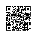 1111Y3001P10DQT QRCode