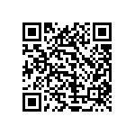 1111Y3001P40BQT QRCode