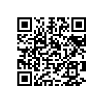 1111Y3001P70DQT QRCode