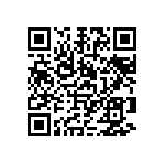 1111Y3002P10DQT QRCode