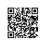 1111Y3002P20DQT QRCode