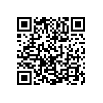 1111Y300P300BQT QRCode