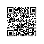 1111Y300P400BQT QRCode