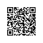 1111Y300P400HQT QRCode