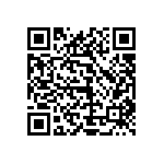 1111Y300P700DQT QRCode