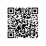 1111Y5000161KQT QRCode