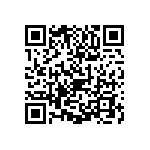 1111Y5001P80HQT QRCode