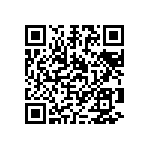 1111Y5004P30HQT QRCode