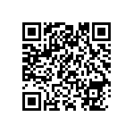 1111Y6303P00BQT QRCode