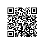 1111Y6303P30DQT QRCode