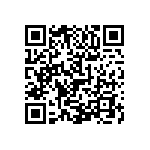 1111Y6304P30BQT QRCode