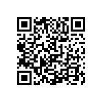 1111Y6309P10BQT QRCode