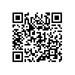 116-87-322-41-013101 QRCode