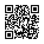 119Y250 QRCode