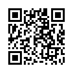 12061C133KAT2A QRCode