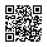 12065F333K4T2A QRCode