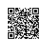 1206J2K01P30DQT QRCode