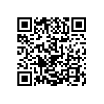 1206J6300620KQT QRCode