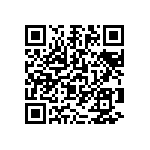 1206Y2500273MXR QRCode