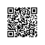 1206Y2K06P80BQT QRCode