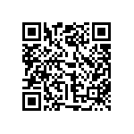 121-13-308-41-001000 QRCode