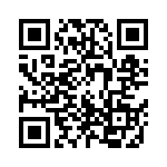 12105C393KAT2A QRCode