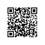 1210J2500393MXR QRCode