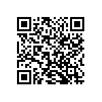 1210Y0100333MXT QRCode